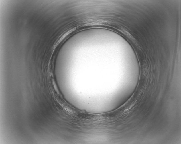 X0000051910885200507222105