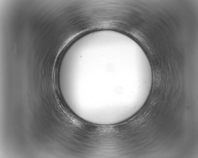 X0000051910886200507222105