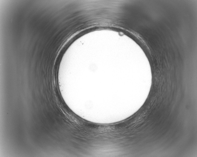 X0000051910887200507222105