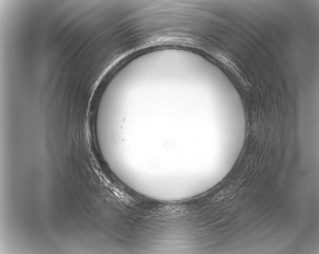 X0000051910888200507222105