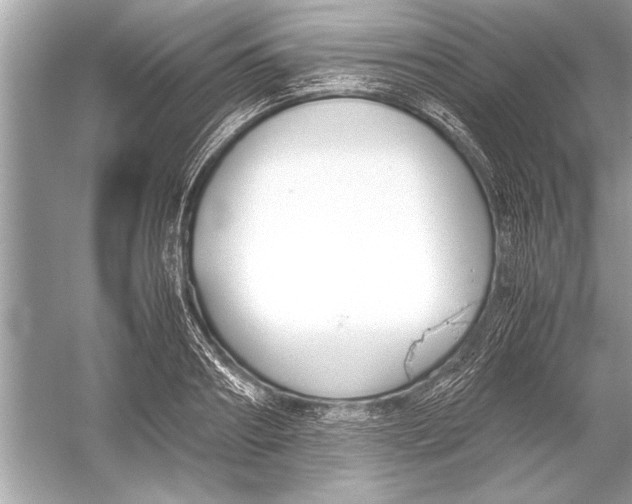 X0000051910890200507222105