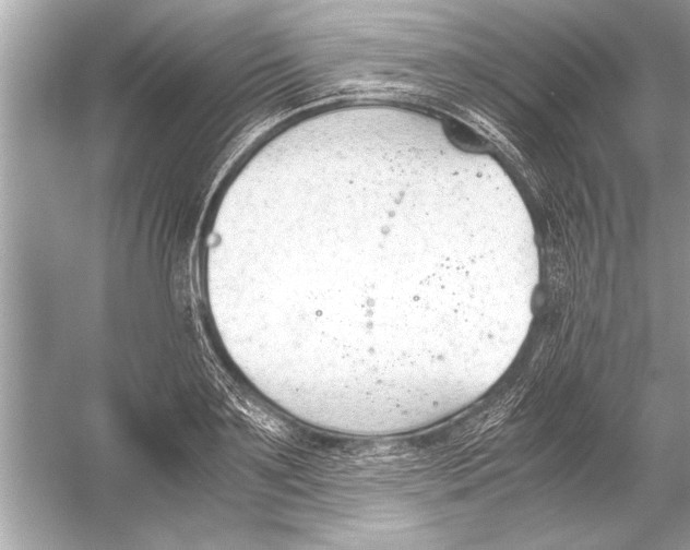 X0000051910891200507222105