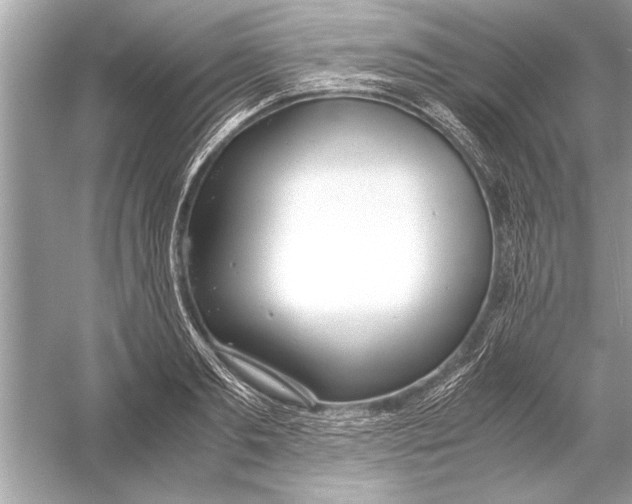 X0000051910893200507222105