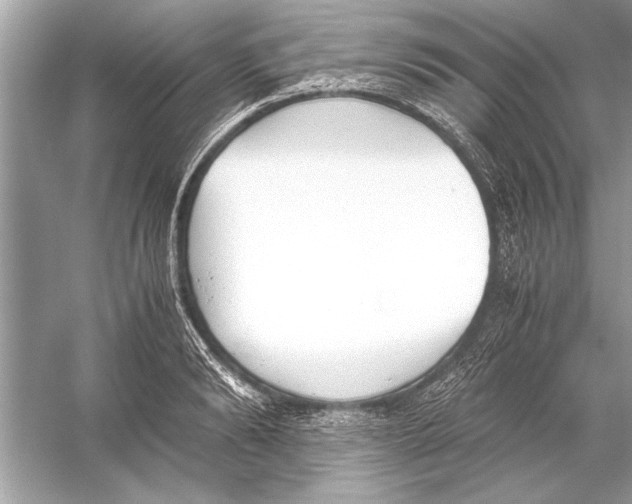 X0000051910894200507222105