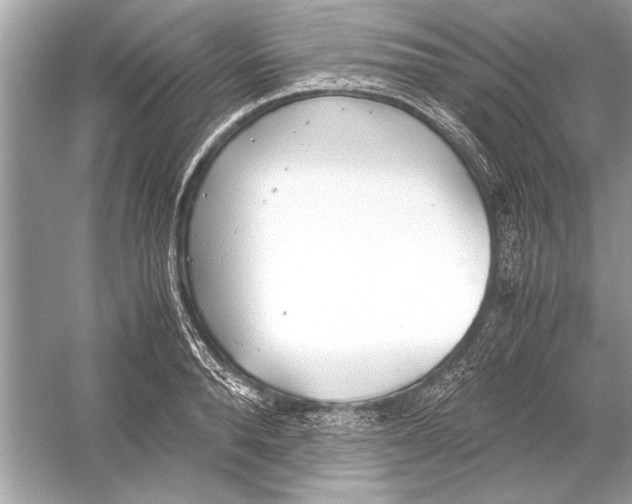 X0000051910896200507222105