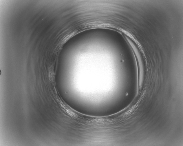 X0000051910897200507222105