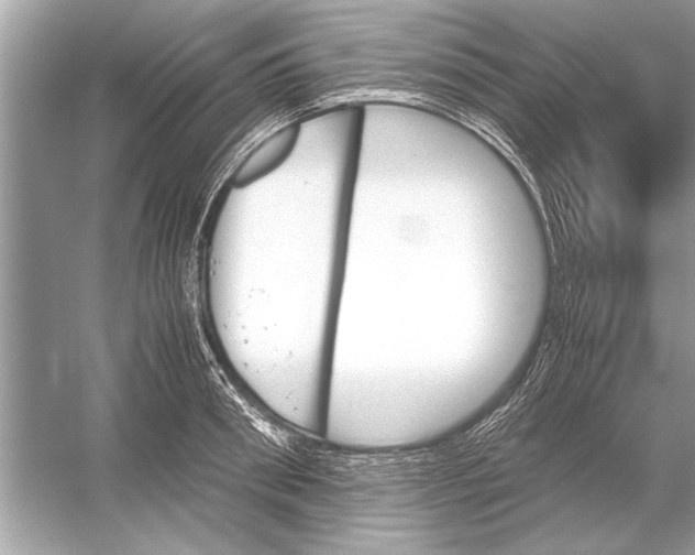 X0000051910898200507222105