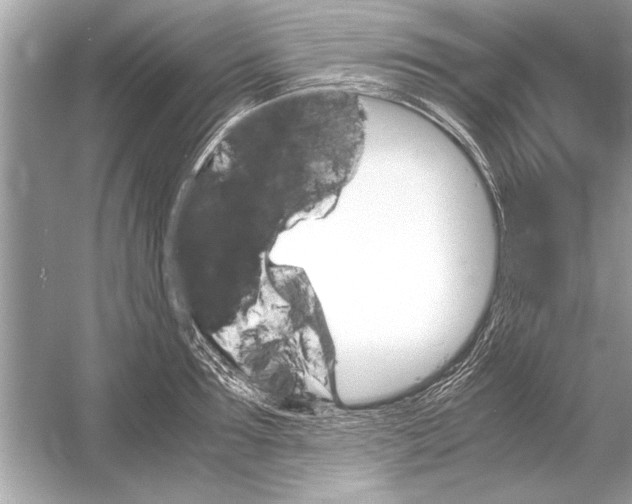 X0000051910899200507222105