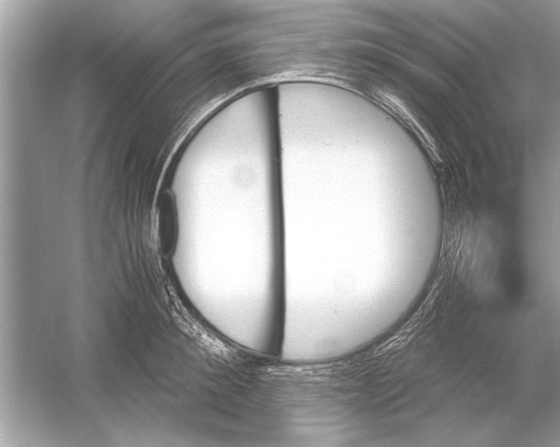 X0000051910900200507222105