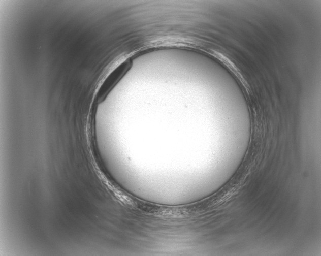 X0000051910901200507222105