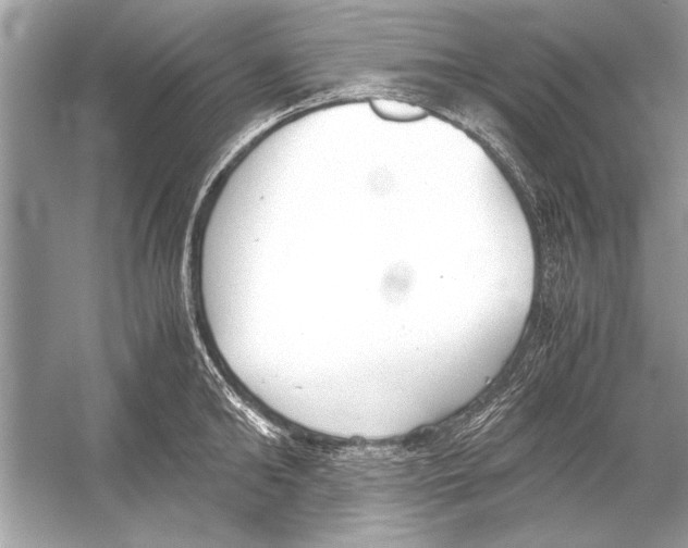 X0000051910902200507222105