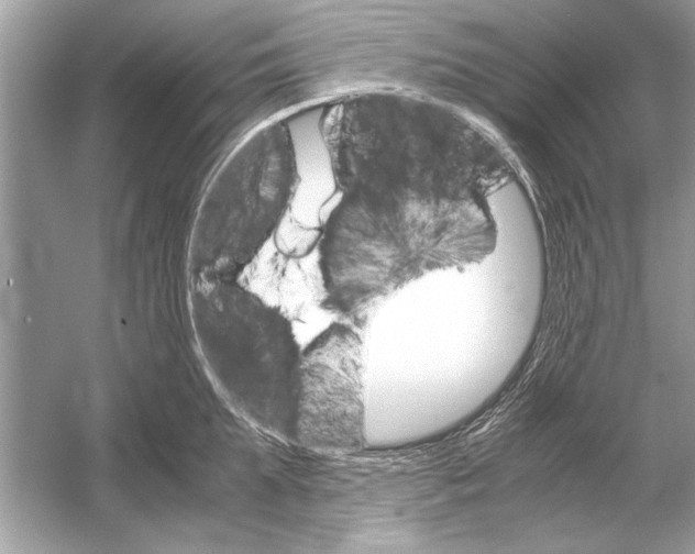 X0000051910903200507222105