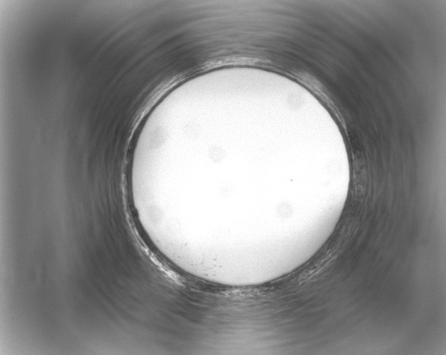 X0000051910906200507222105