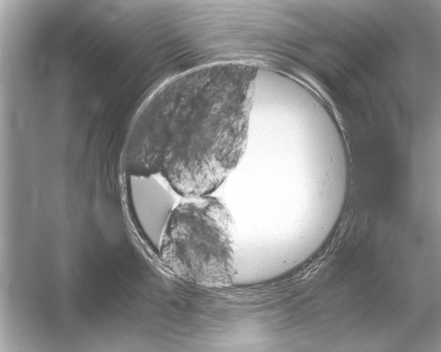 X0000051910907200507222105