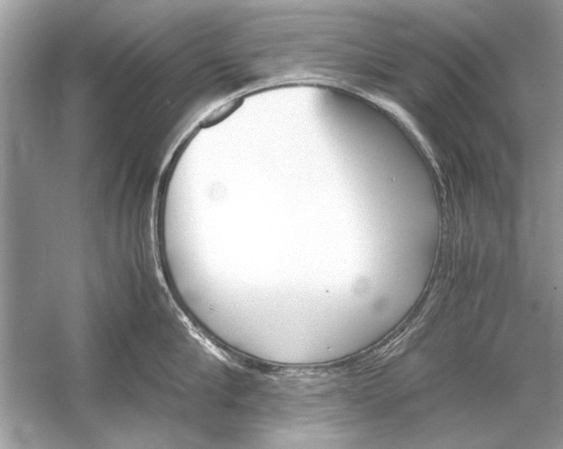 X0000051910910200507222105