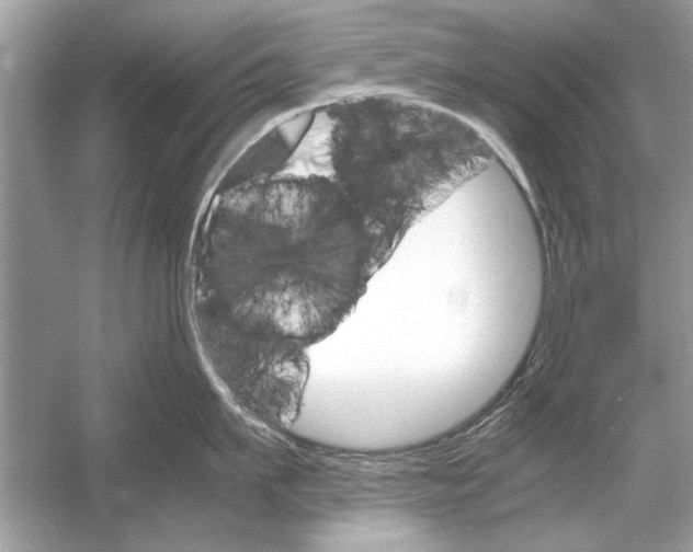 X0000051910911200507222105