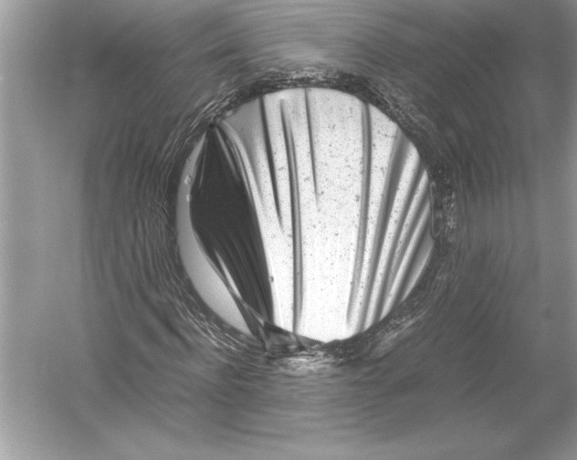 X0000051910916200507222104