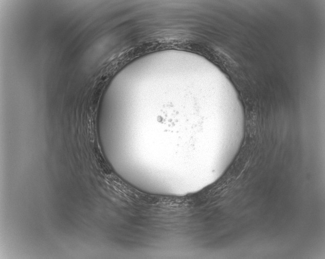 X0000051910917200507222104