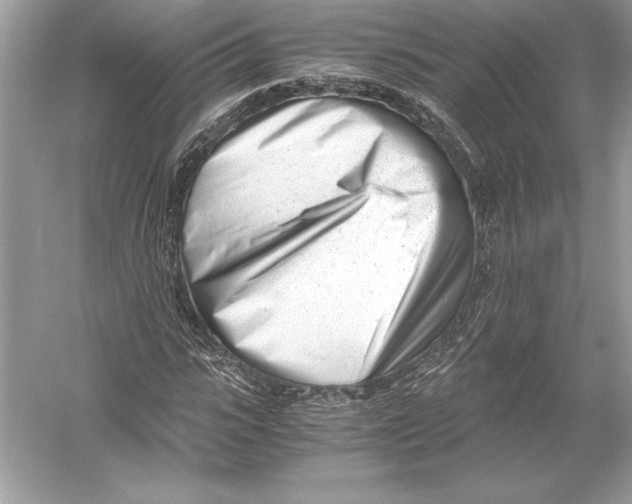 X0000051910919200507222104