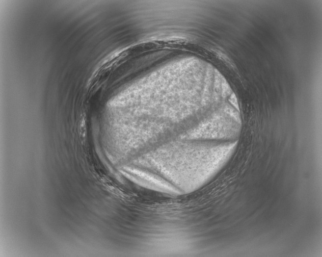 X0000051910920200507222104