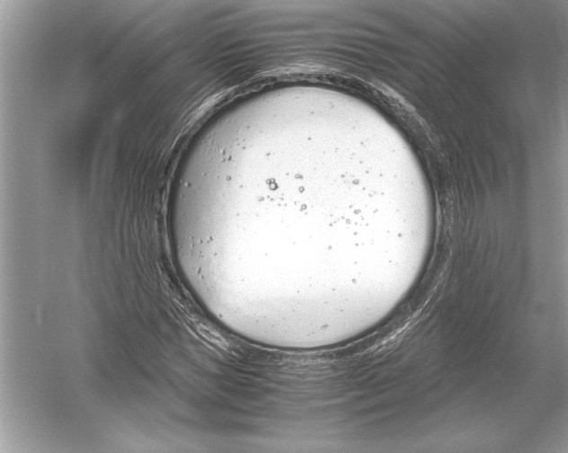 X0000051910921200507222104