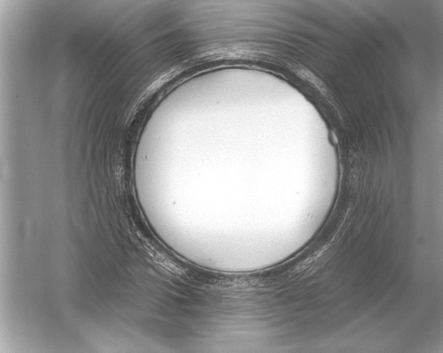 X0000051910922200507222104