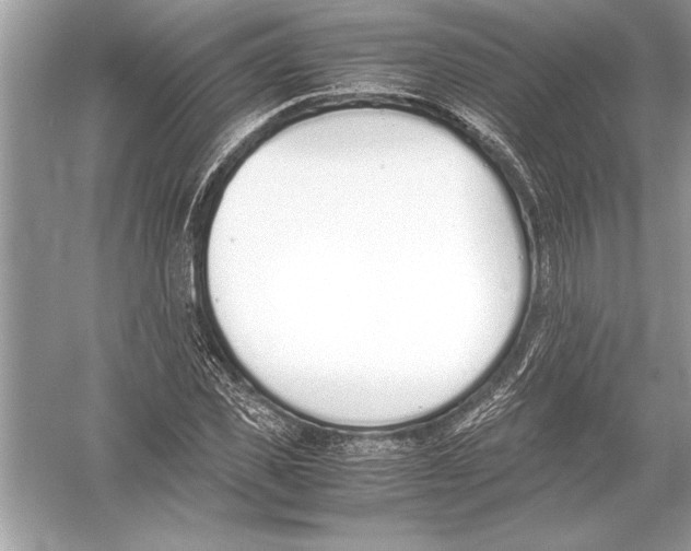 X0000051910925200507222104