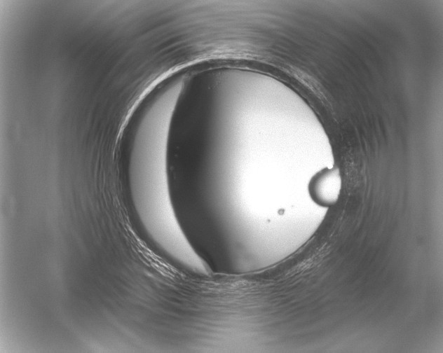 X0000051910926200507222104