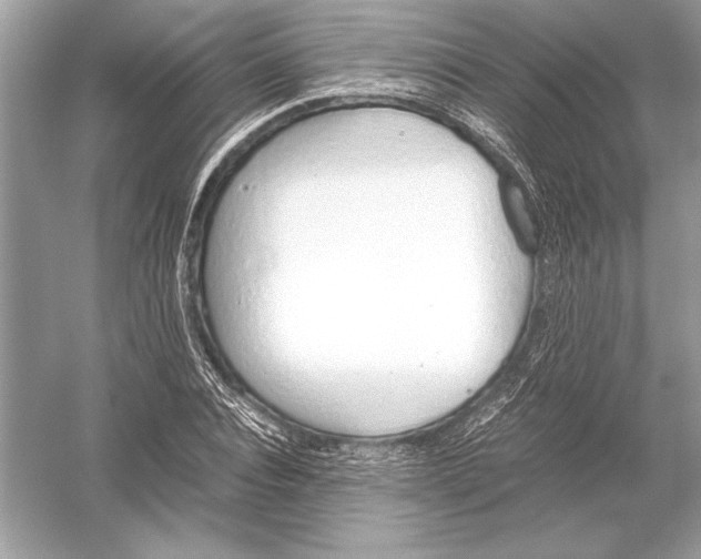 X0000051910928200507222104