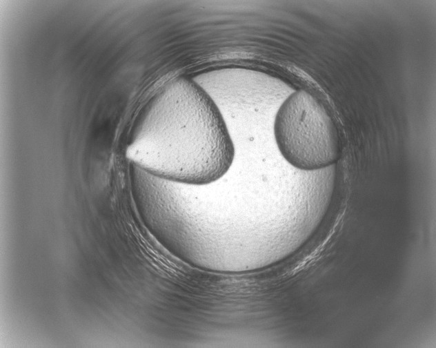 X0000051910929200507222104