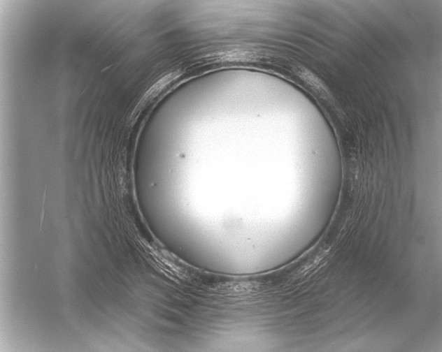 X0000051910930200507222104