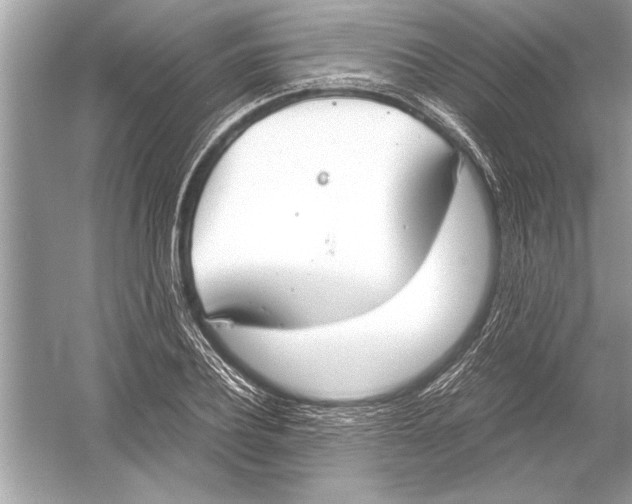 X0000051910932200507222104