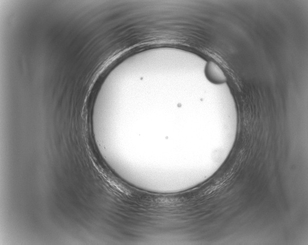 X0000051910933200507222104