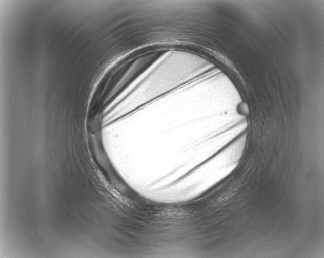 X0000051910935200507222104