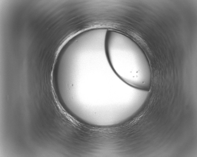 X0000051910936200507222104