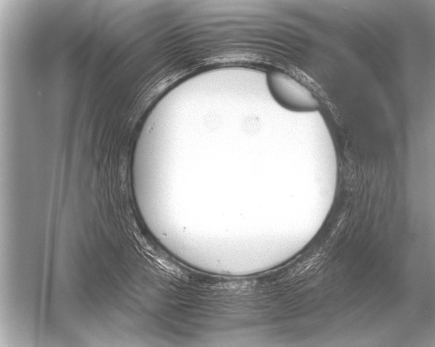 X0000051910937200507222104