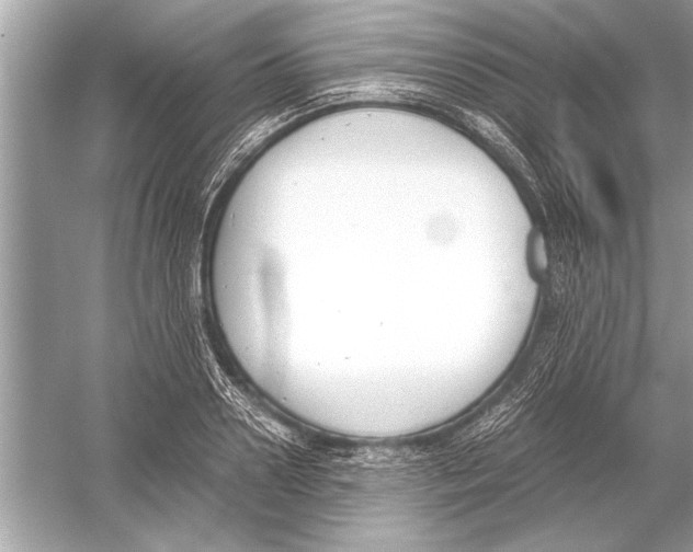 X0000051910938200507222104