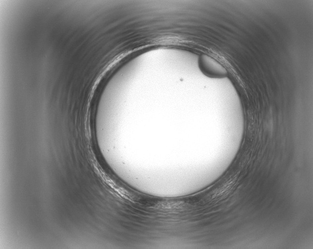 X0000051910939200507222104