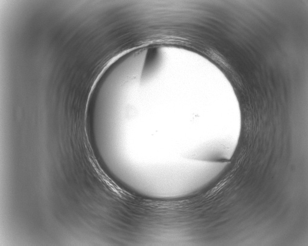 X0000051910940200507222104