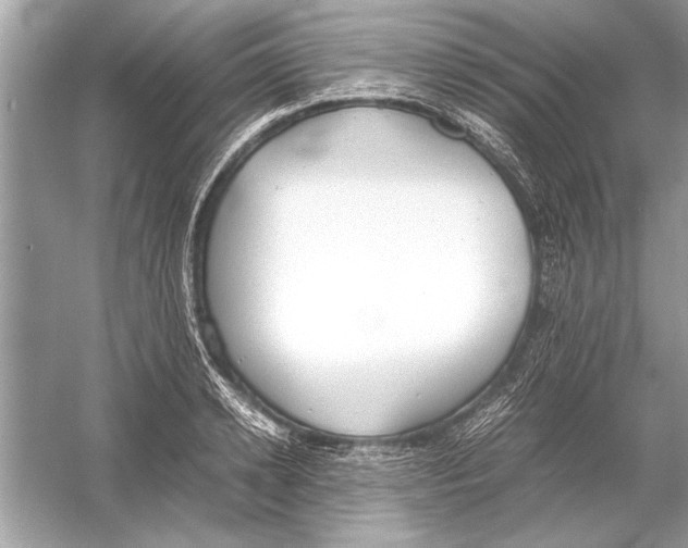 X0000051910942200507222104