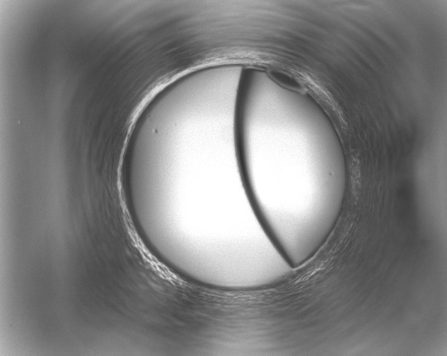 X0000051910944200507222104