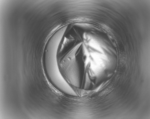 X0000051910946200507222104