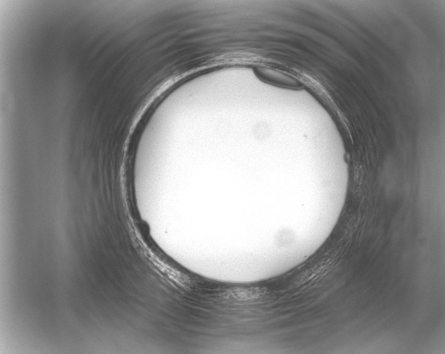 X0000051910947200507222104