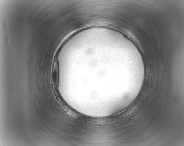 X0000051910948200507222104