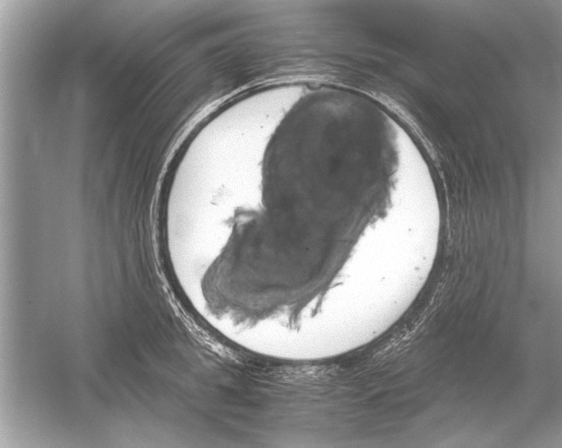 X0000051910949200507222104