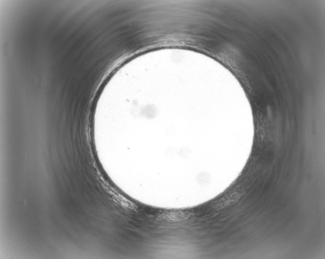 X0000051910950200507222104