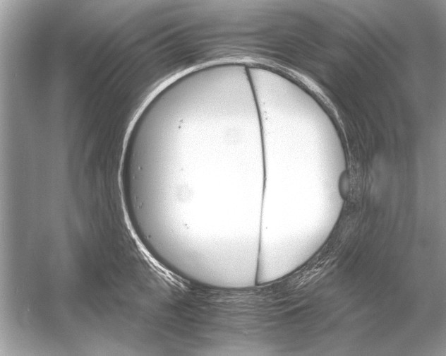 X0000051910951200507222105