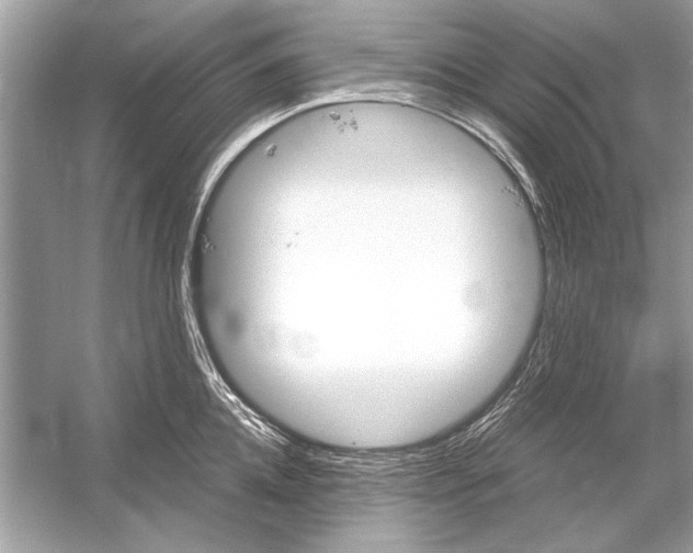 X0000051910952200507222105