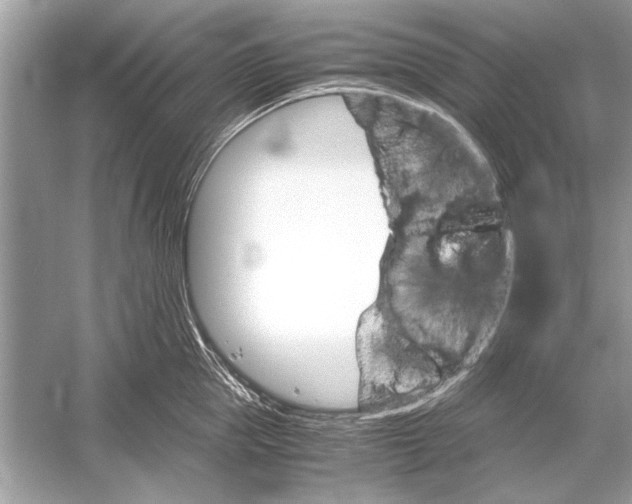 X0000051910953200507222105