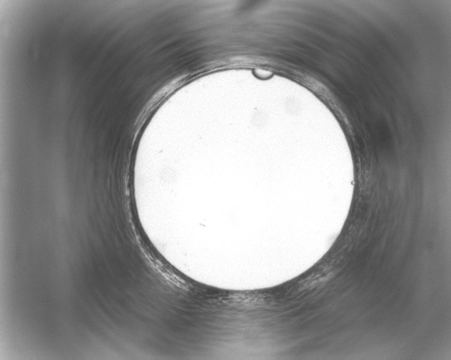 X0000051910954200507222105